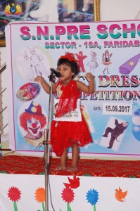 Fancy Dress Competition (9)